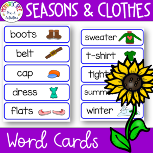 Seasons Word Cards