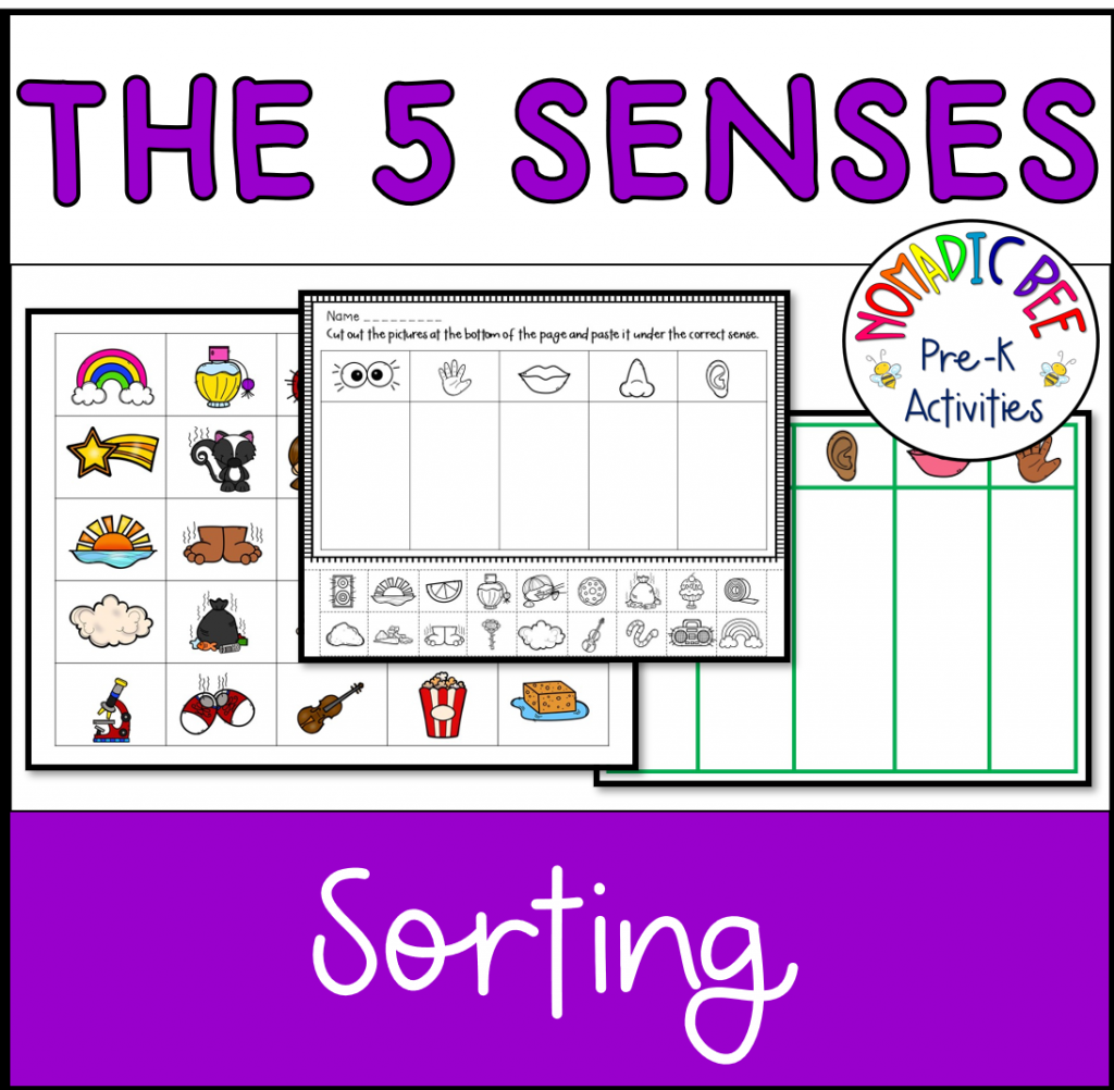 'The 5 Senses' Sorting Activity Literacy Center - NBpreKactivities