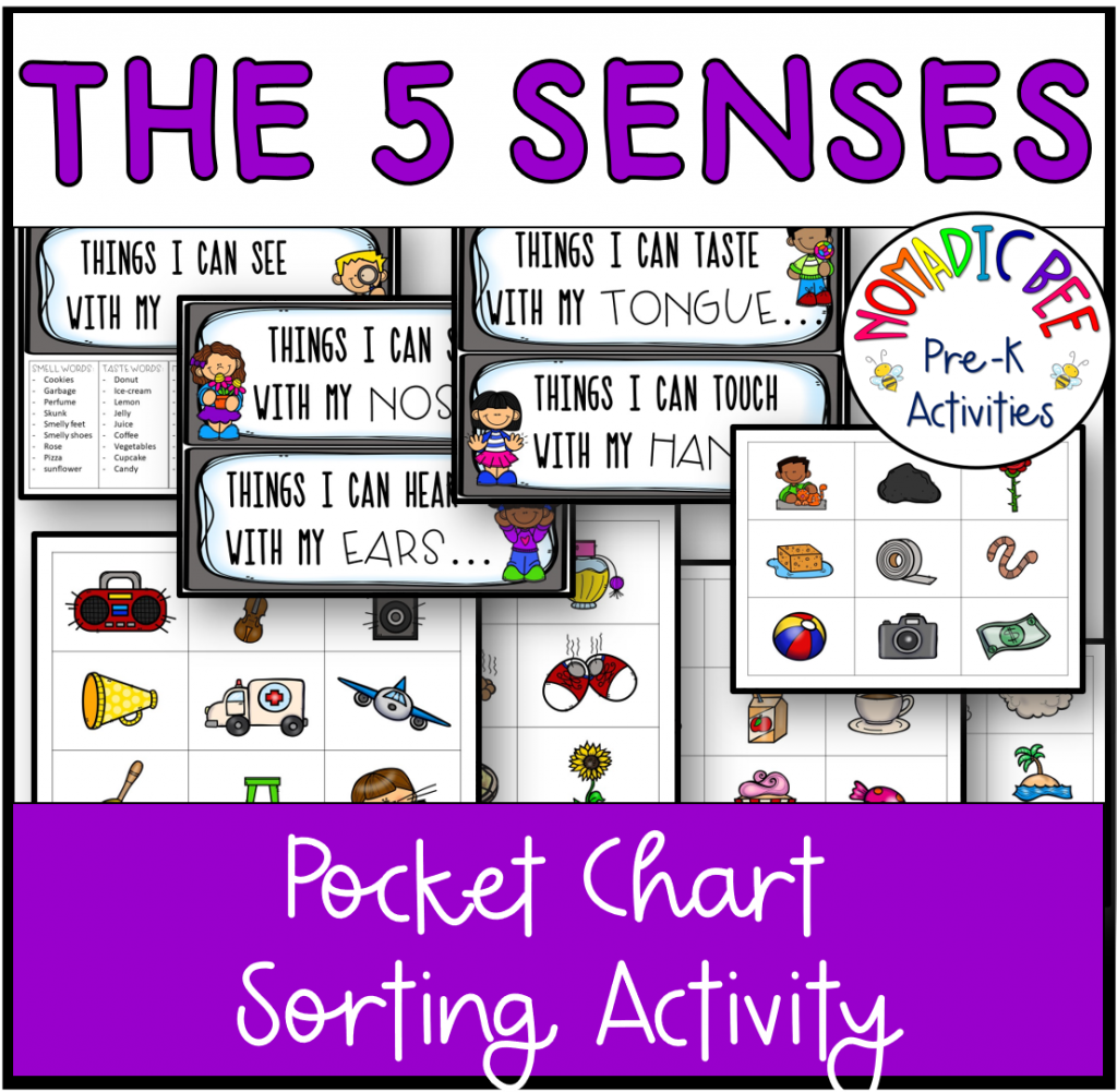 Polar Bear, Polar Bear Sequencing Activity - NBpreKactivities