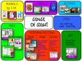 sense of sight Activities - NBpreKactivities