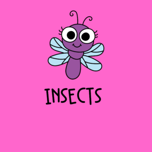 Preschool Insects