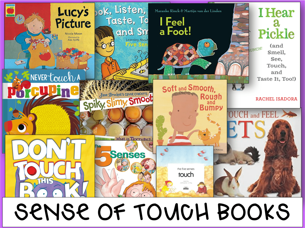 Sense of TOUCH & the 5 senses review - NBpreKactivities