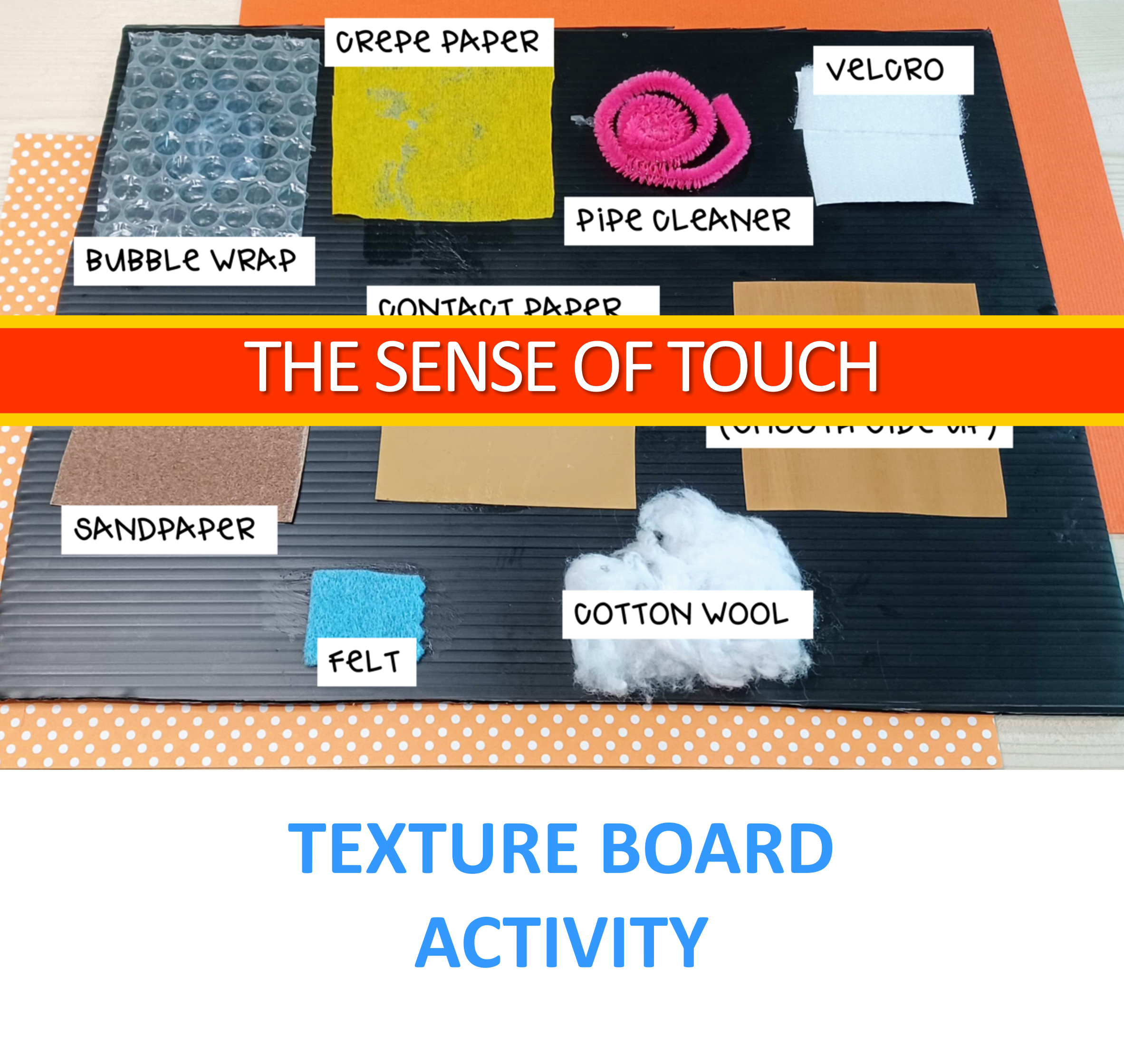 The 5 Senses Activities