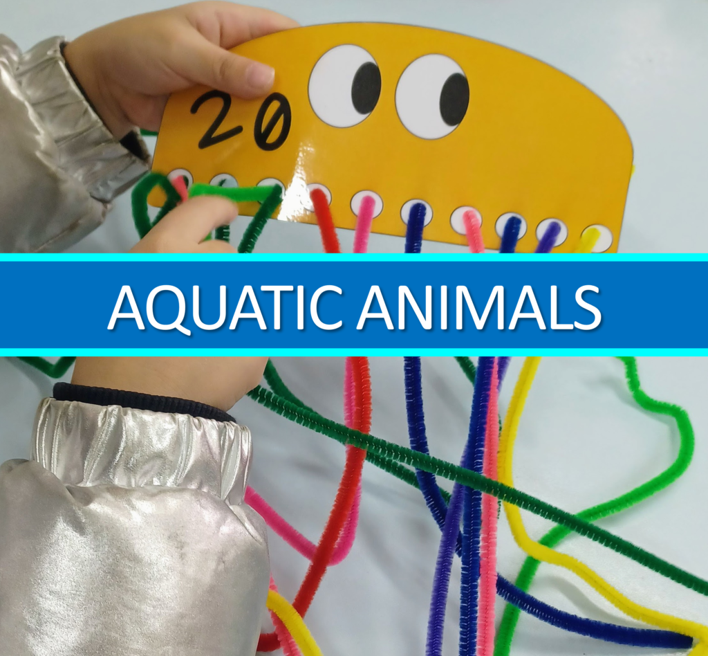 Aquatic Animals Activities