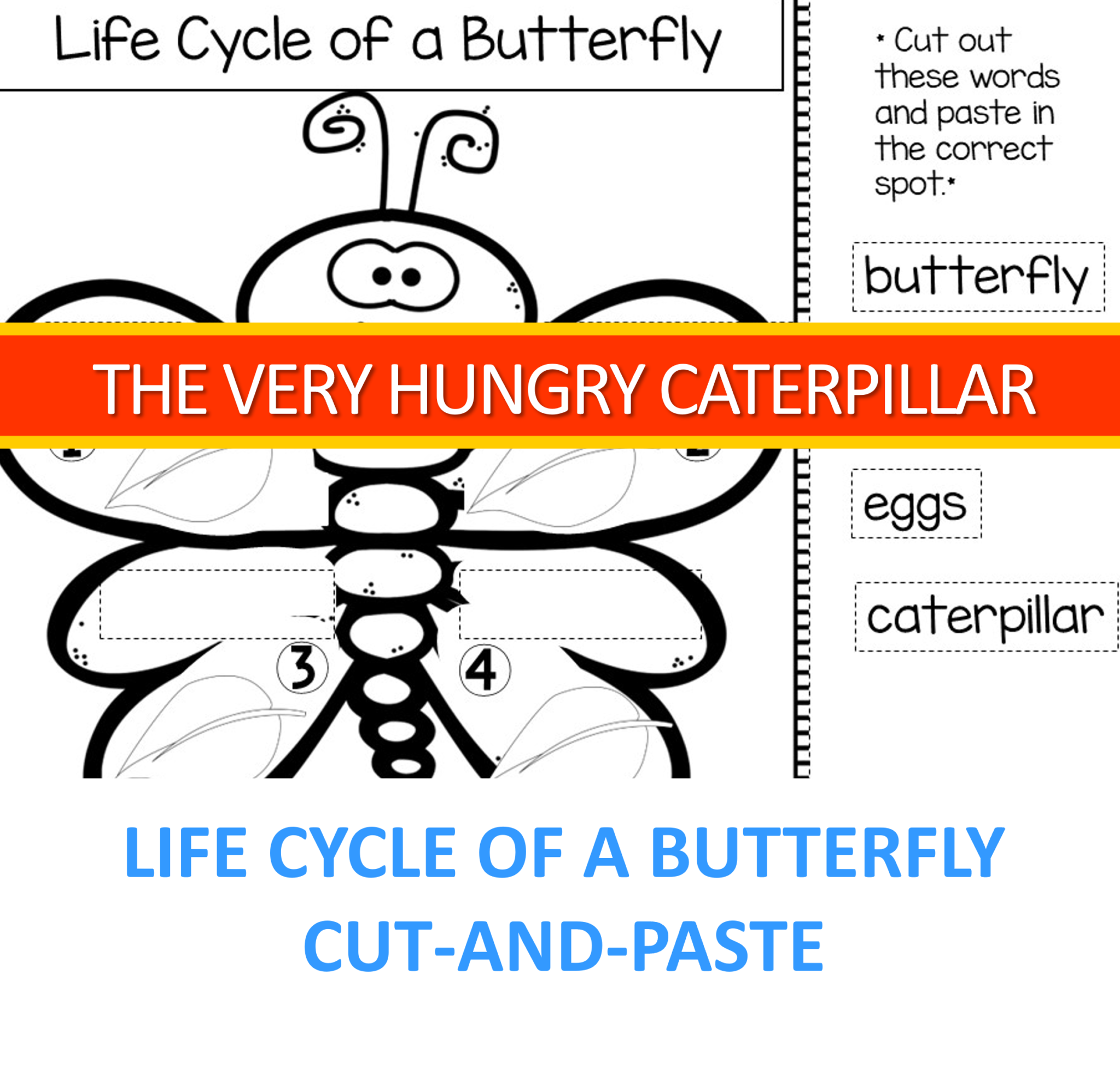 The Hungry Caterpillar Activity