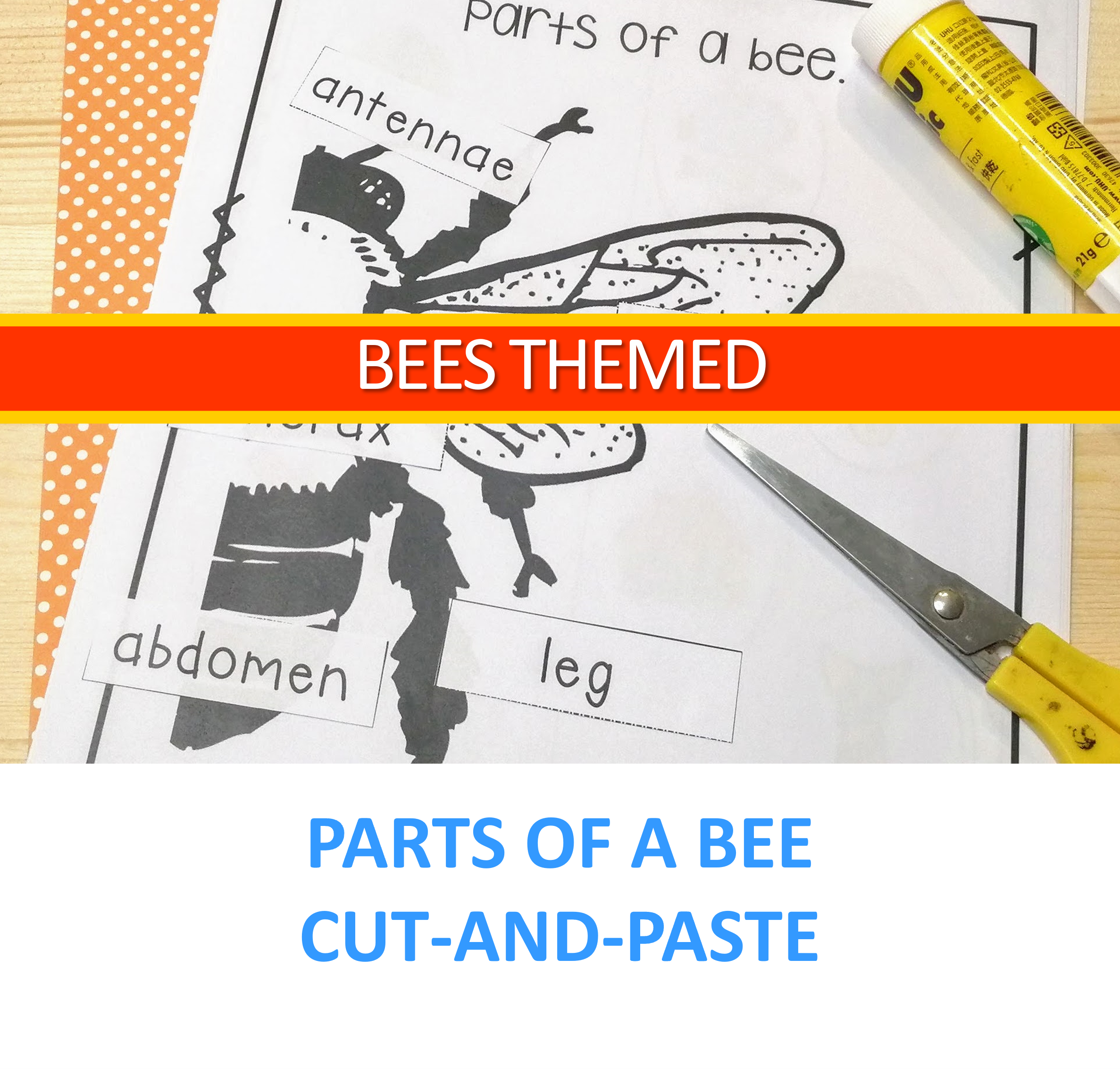 Bee Themed Activities