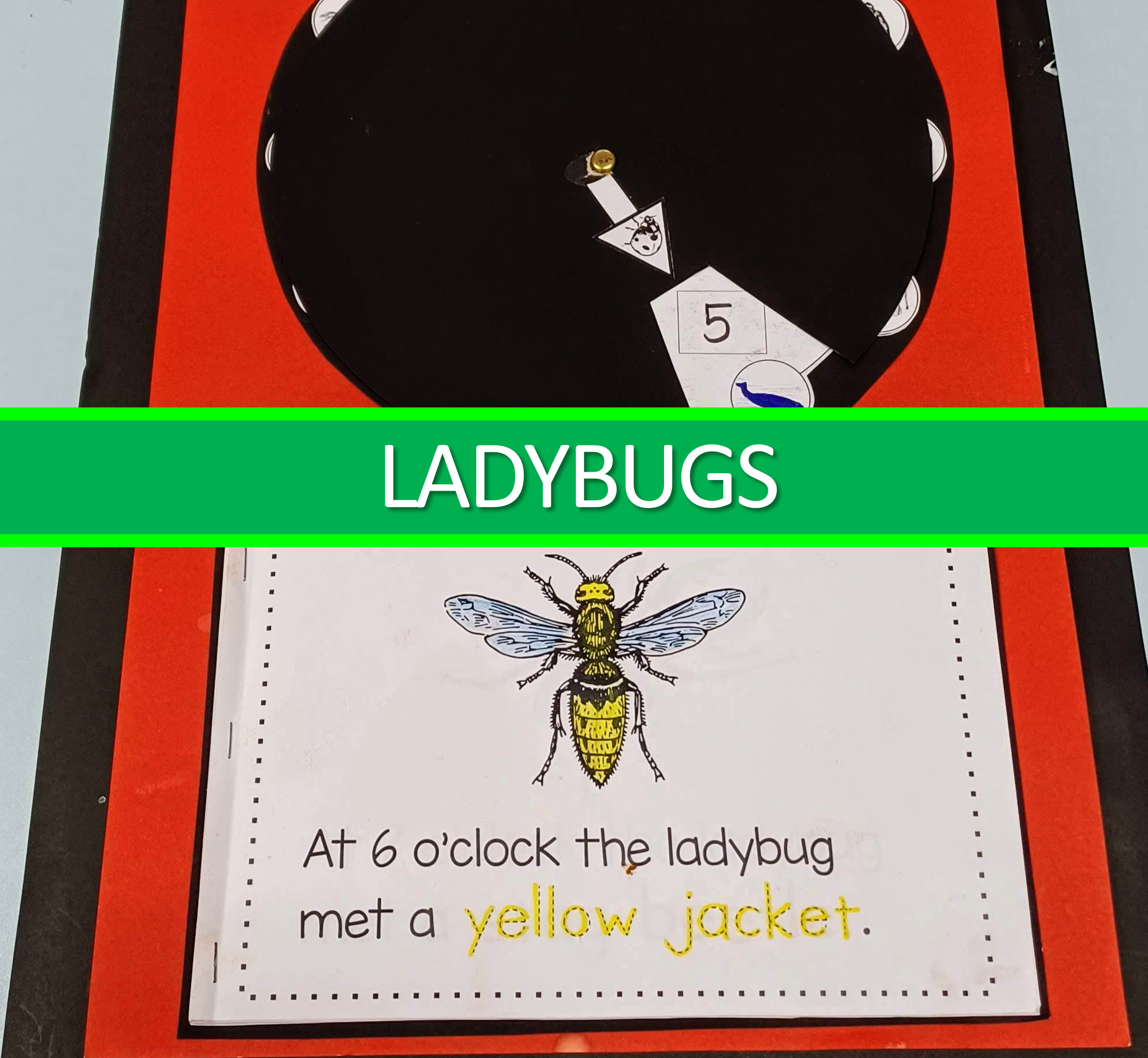 Ladybug Themed Activities