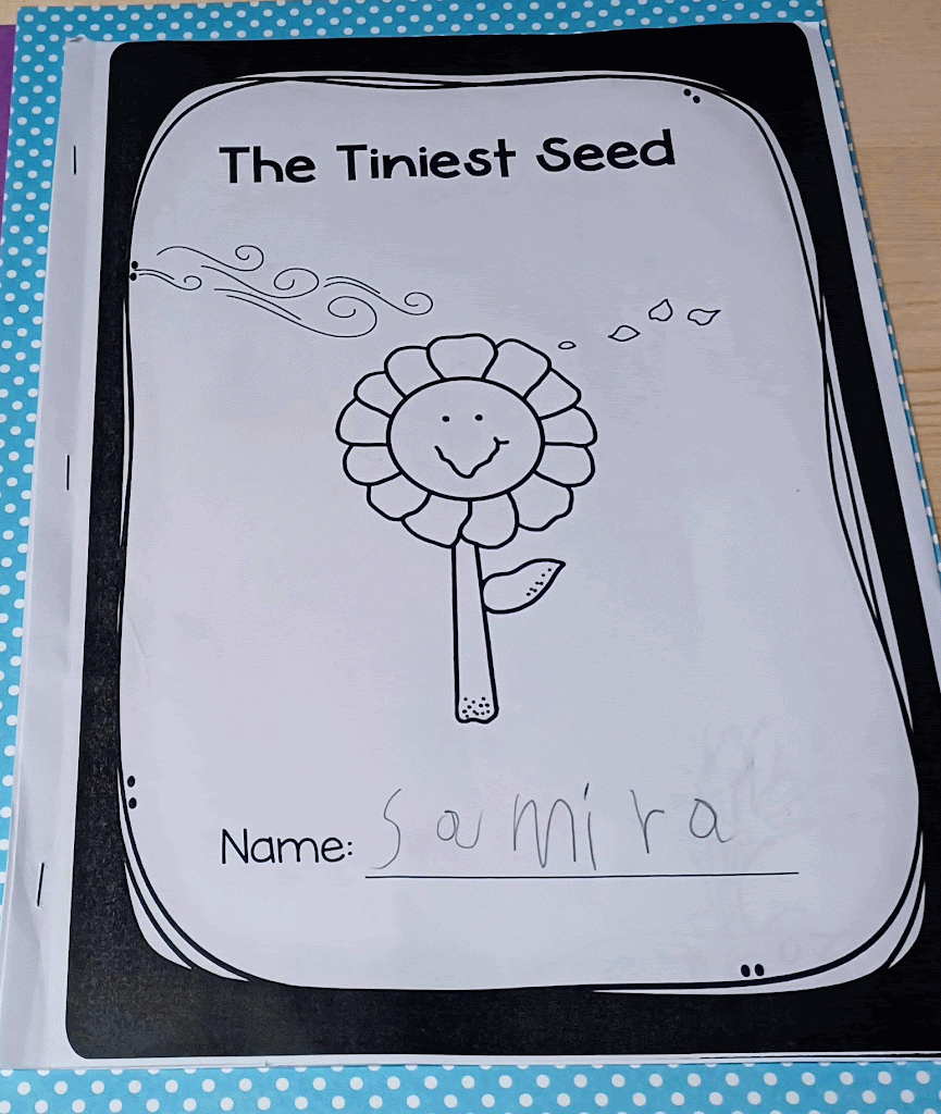 The Tiny Seed Activities