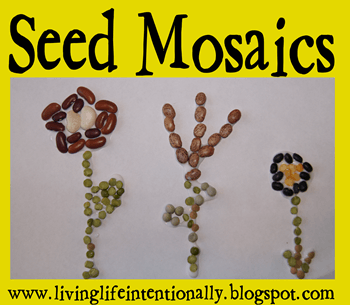 Seed Activities