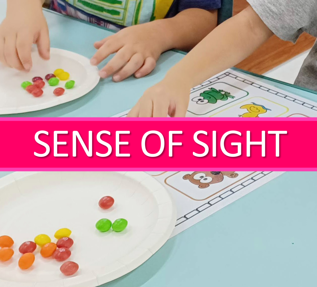 The 5 Senses Activities