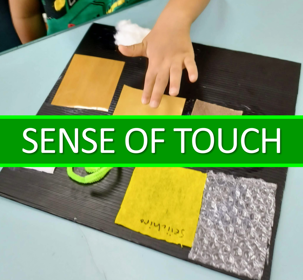 The 5 Senses Activities