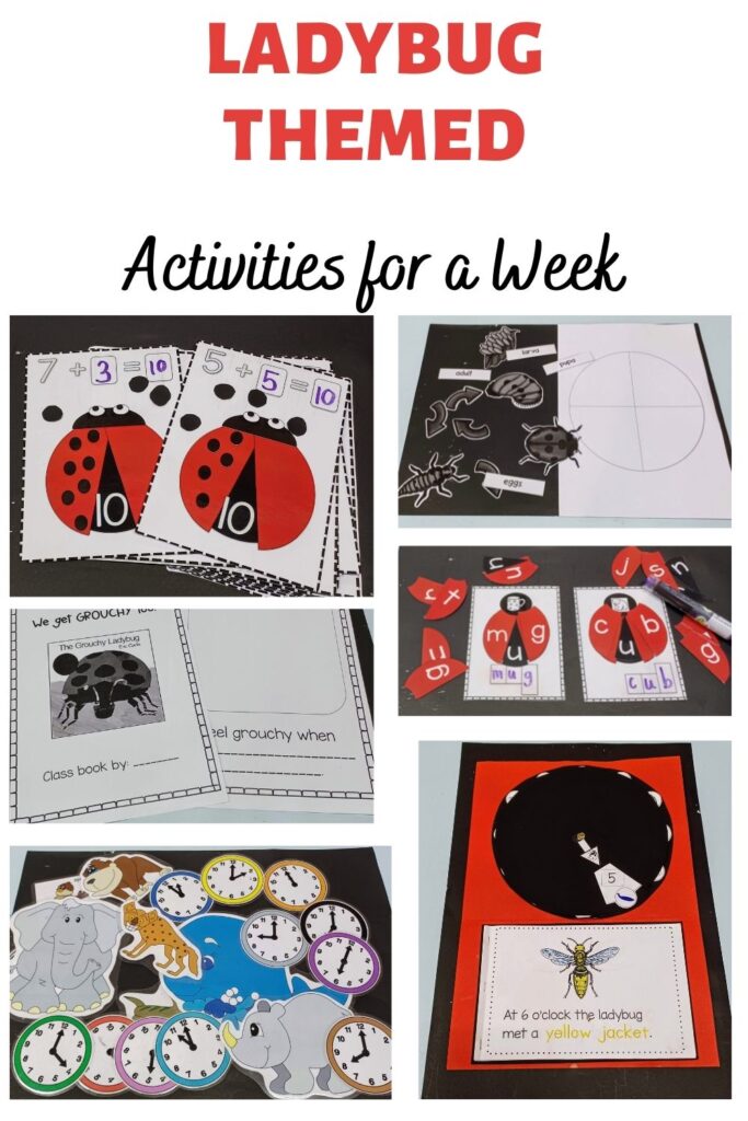 Ladybug Themed Activities for a week