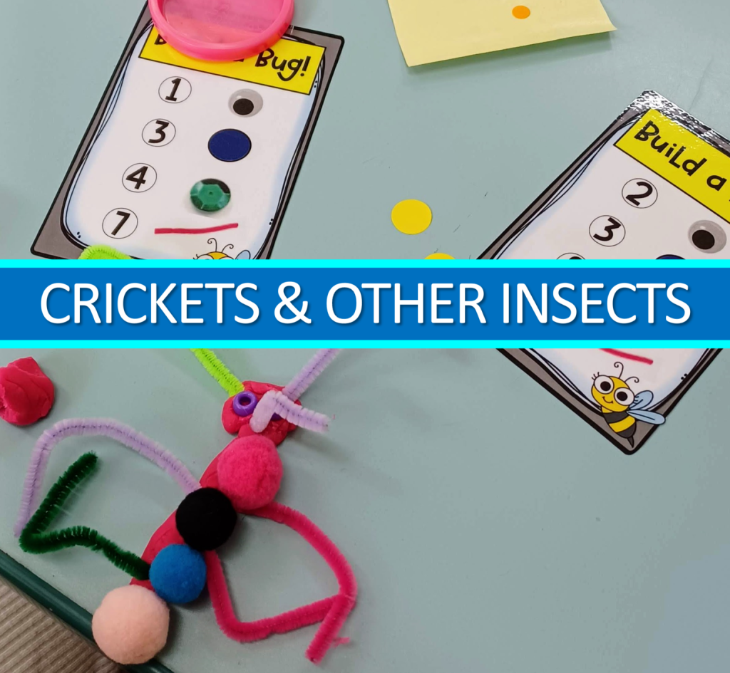 Insects Themed Activities