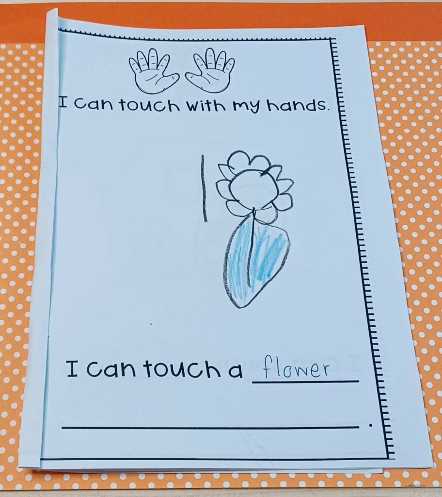 My 5 Senses Printables & Activities