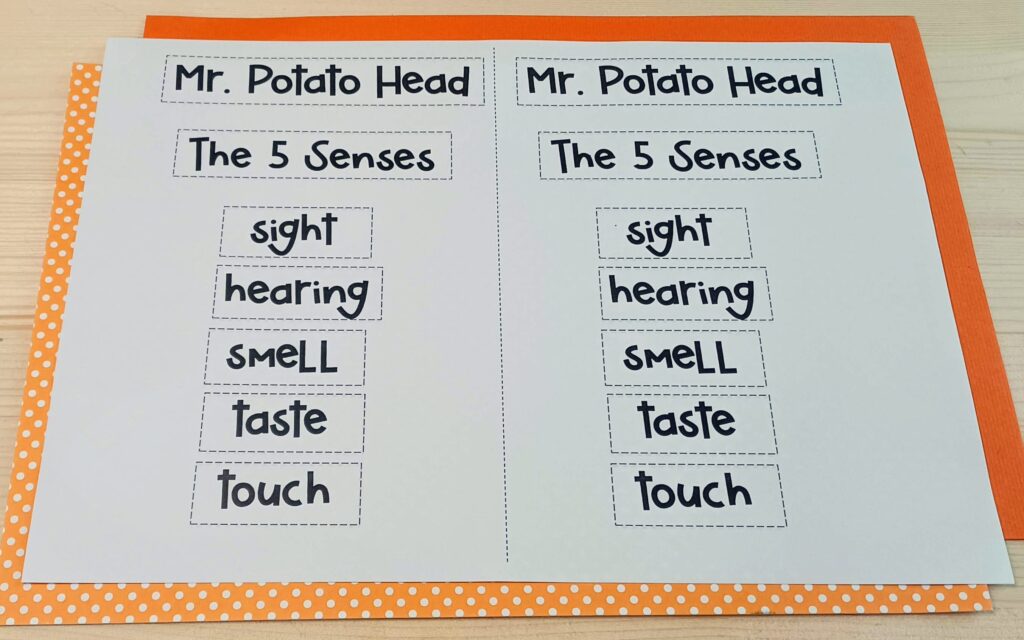 My 5 Senses Printables & Activities