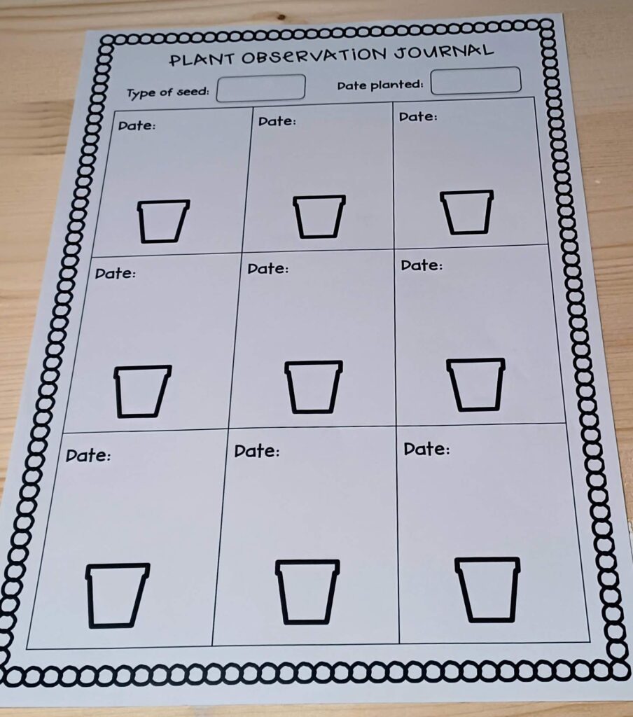 Fruits & vegetables activities & printables