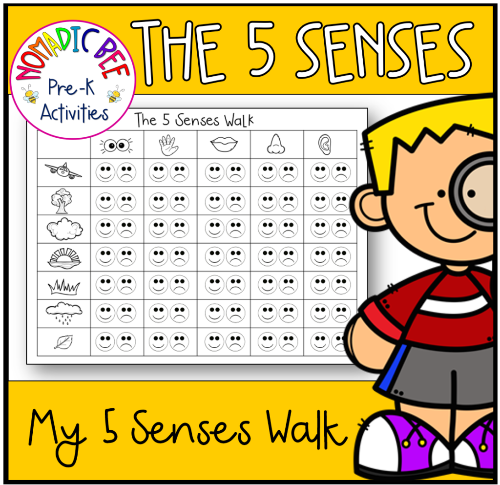 Sense of Sight Activities