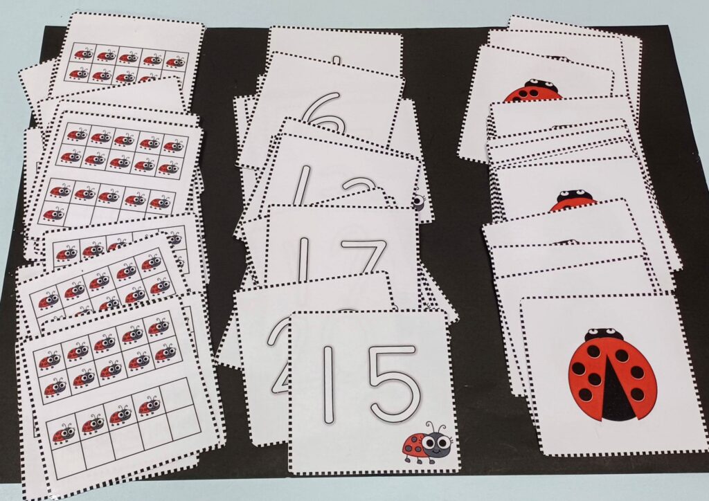 Ladybug Themed Activities