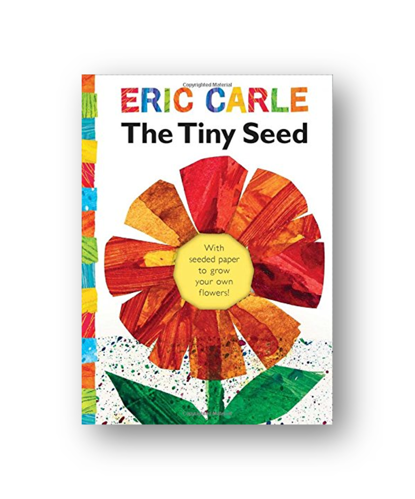  The Tiny Seed Activities