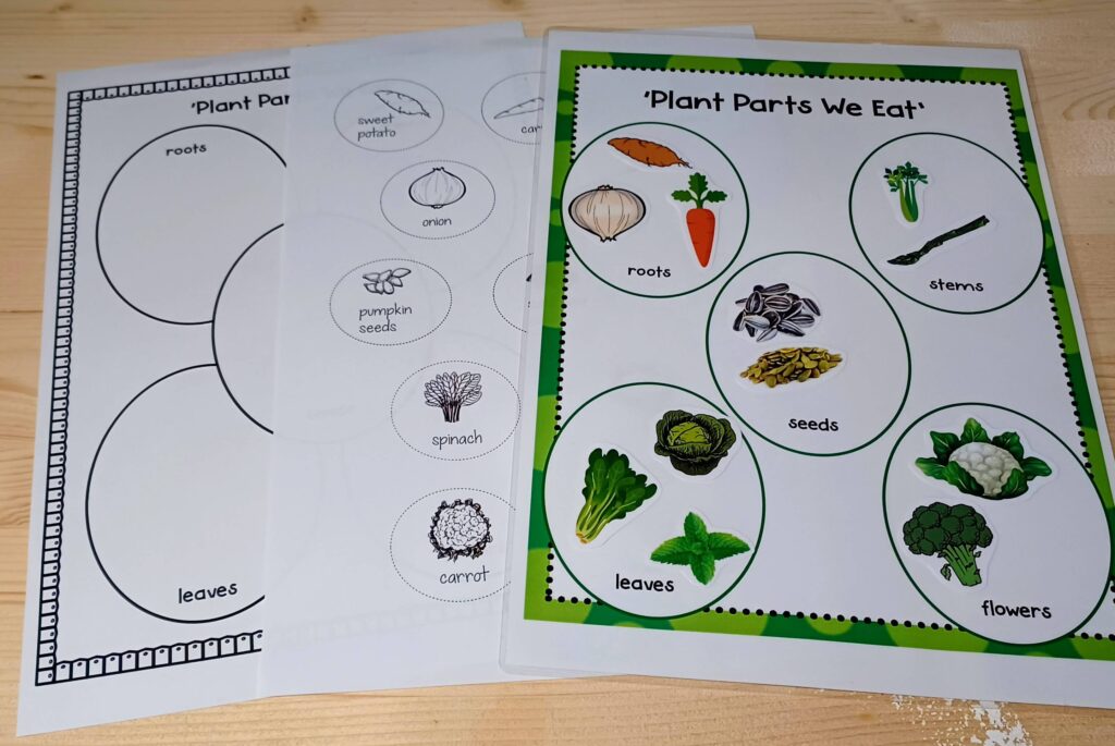 Fruits & vegetables activities & printables