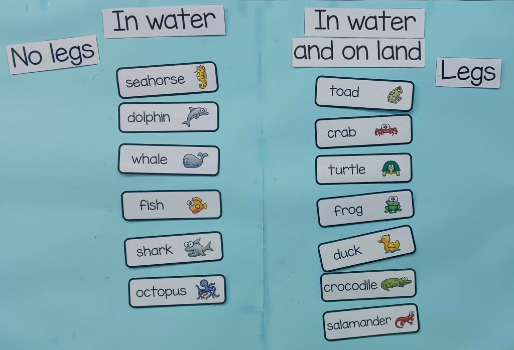 Water Animals Printables & Activities