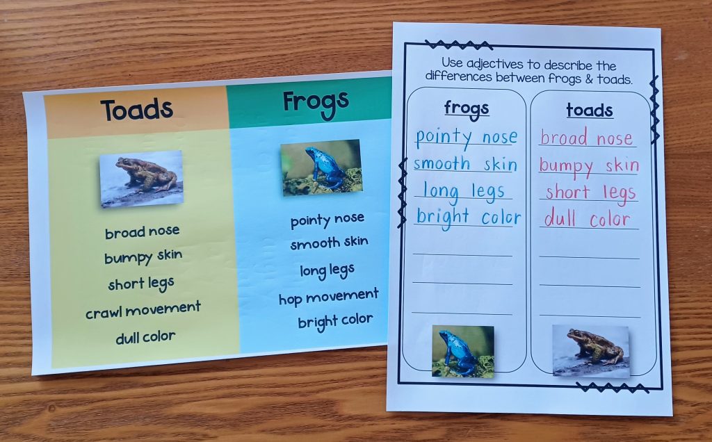 Frog and Toad Are Friends Activities