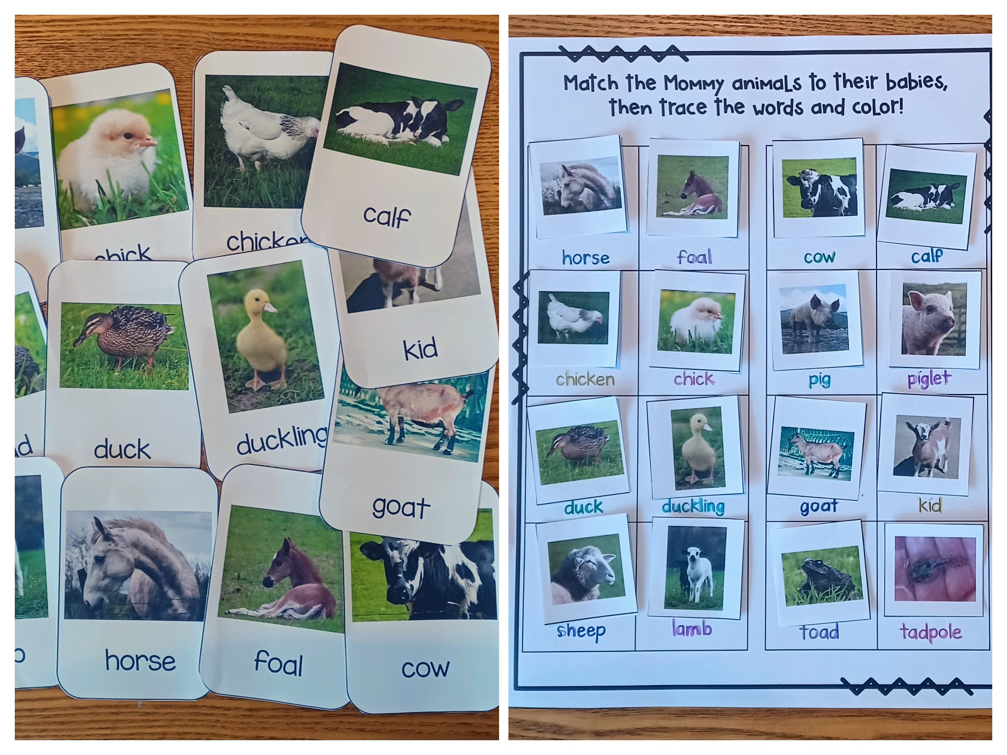 The Little Blue Truck Activities