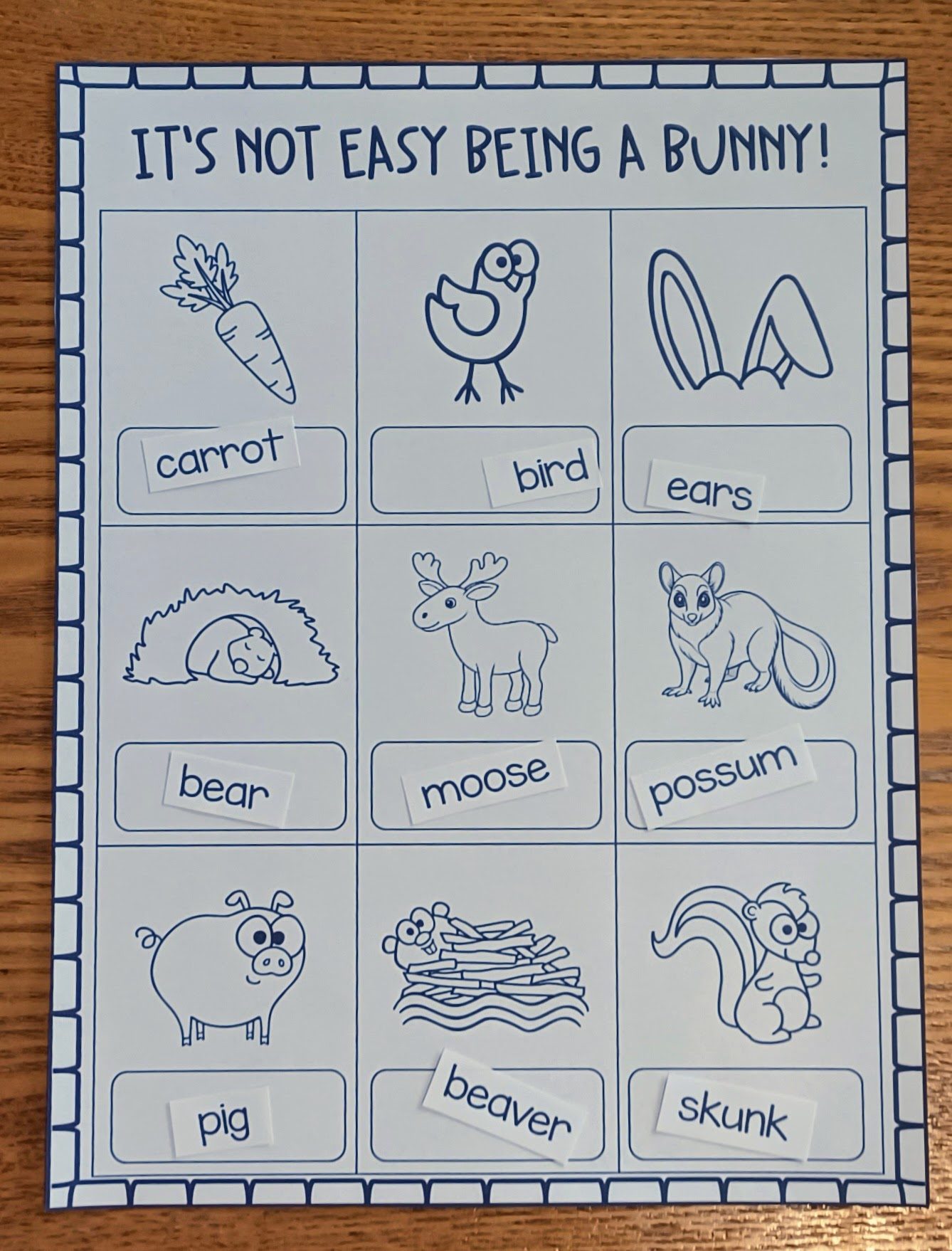 It's Not Easy Being a Bunny! Activities